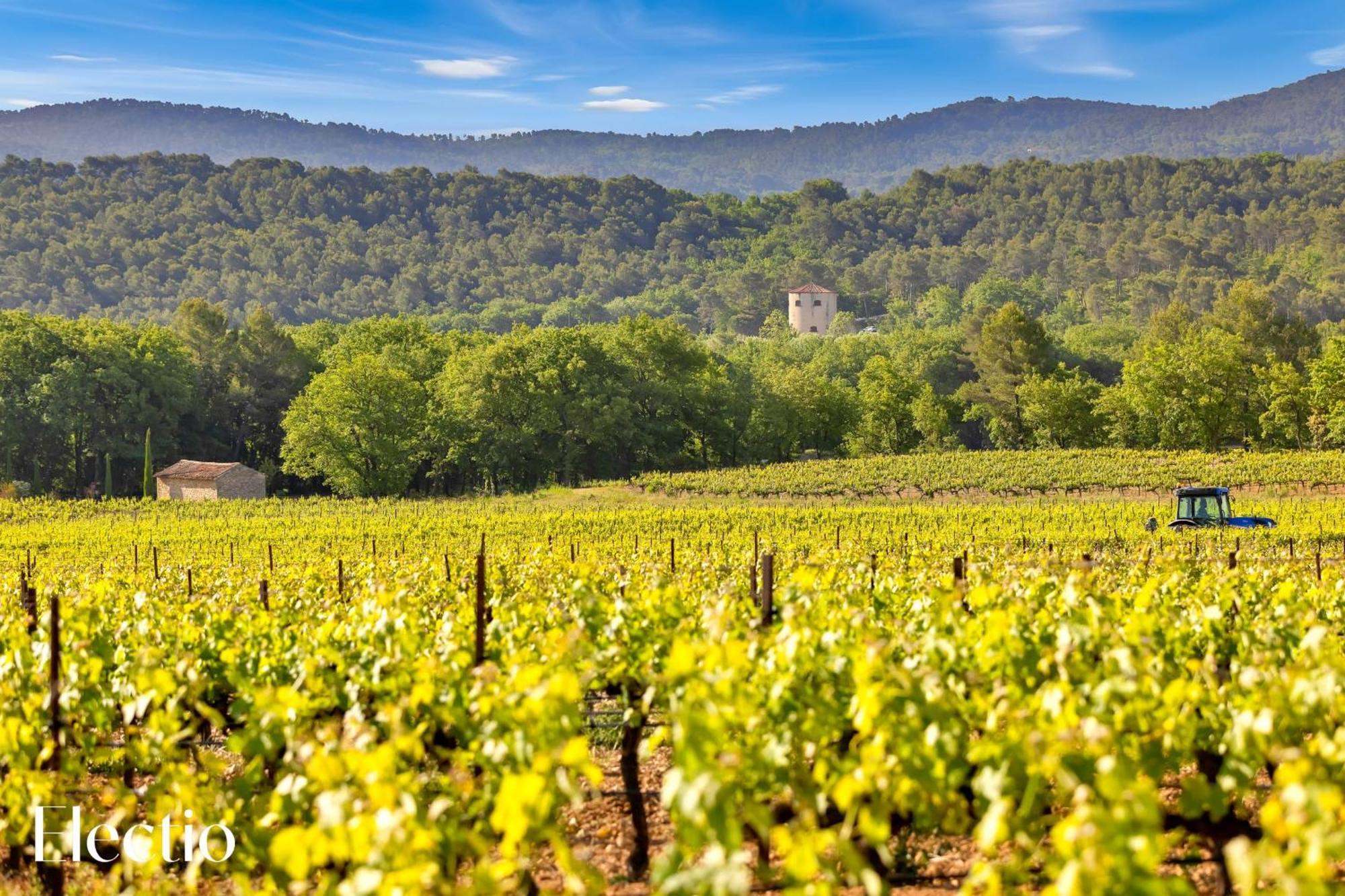 Le Puy-Sainte-Réparade Bastide Domaine Tour Campanetsアパートホテル エクステリア 写真