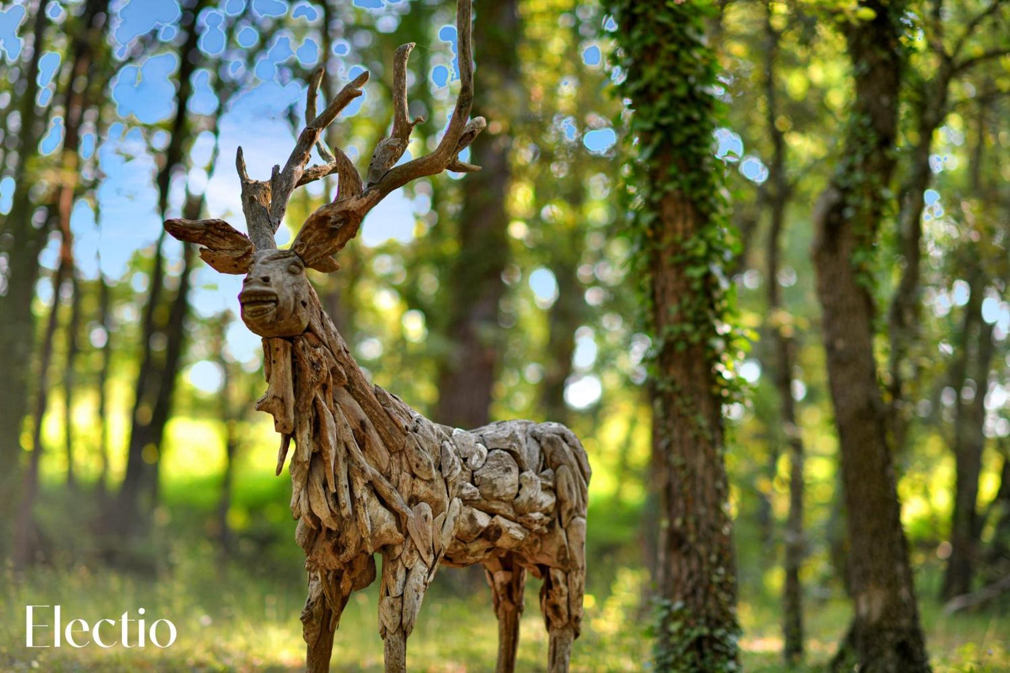 Le Puy-Sainte-Réparade Bastide Domaine Tour Campanetsアパートホテル エクステリア 写真