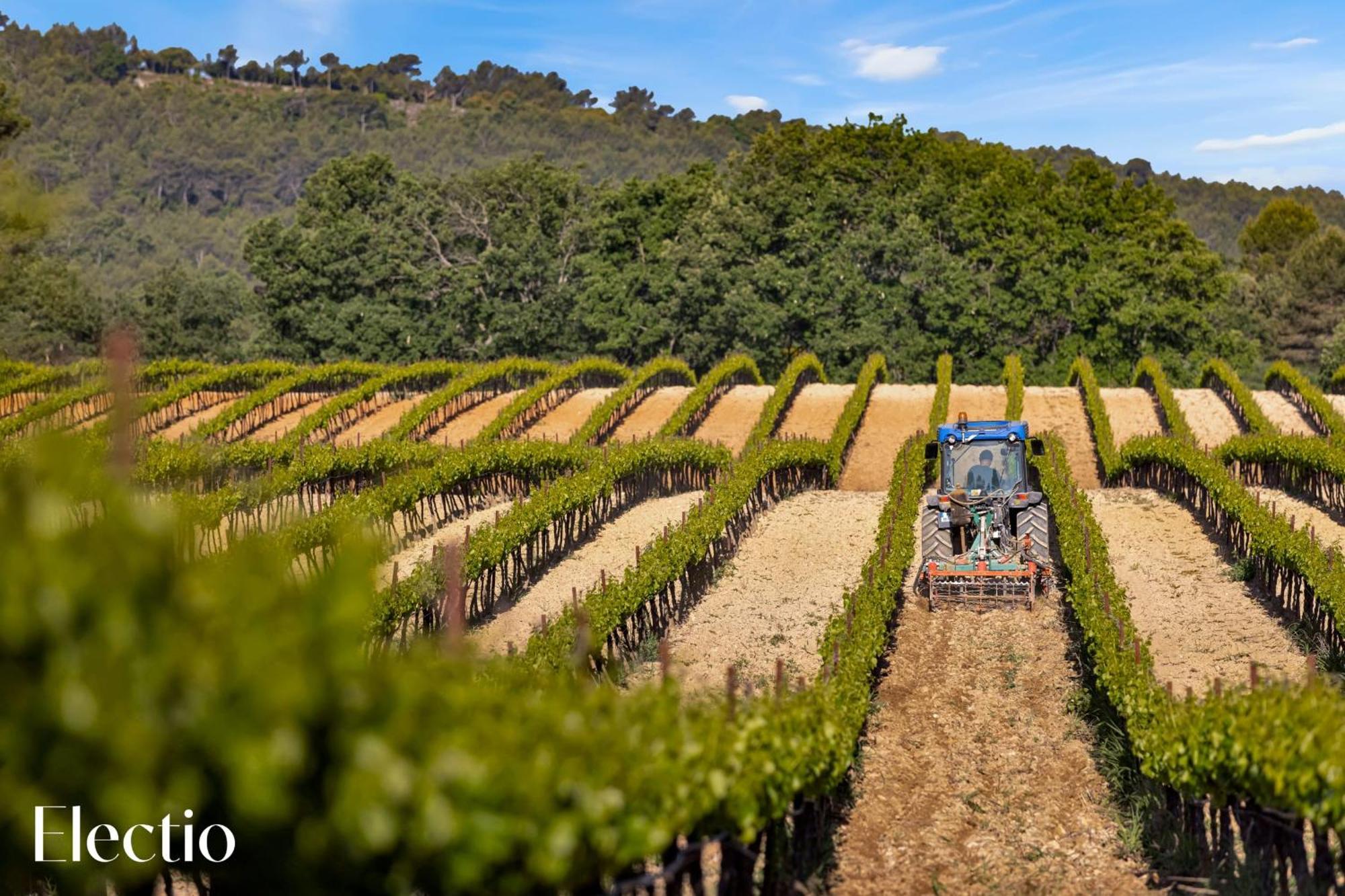 Le Puy-Sainte-Réparade Bastide Domaine Tour Campanetsアパートホテル エクステリア 写真